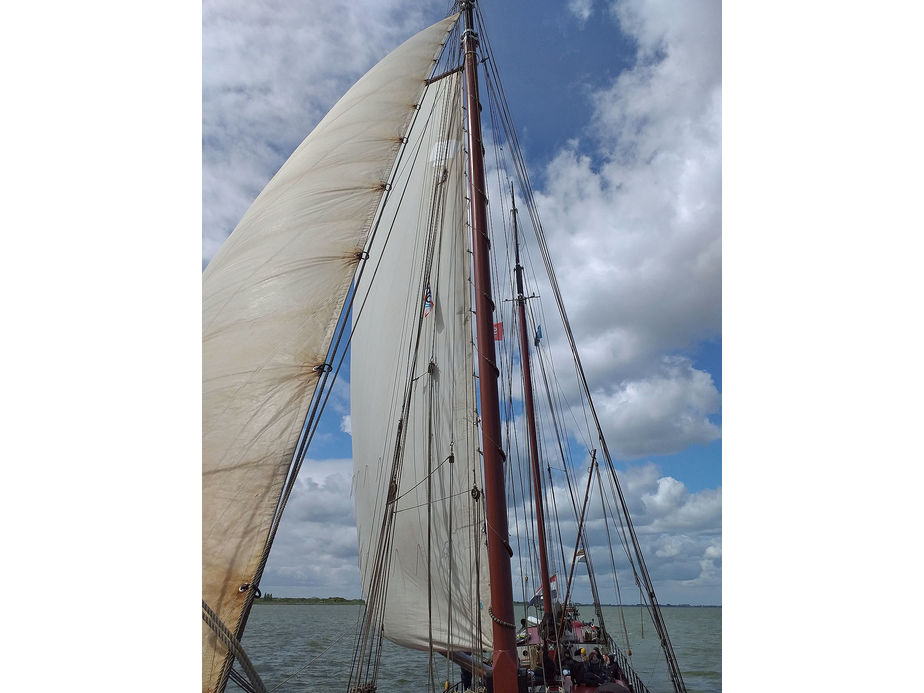 Segeltörn auf dem Ijsselmeer (Foto: Alexander von Rüden)